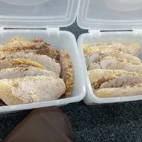 عسل طبیعی کوهستانهای چل چمه|عمده‌فروشی|مریوان, |دیوار