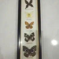 تابلو  نقاب برجسته .|تابلو، نقاشی، عکس|تهران, والفجر (افسریه)|دیوار