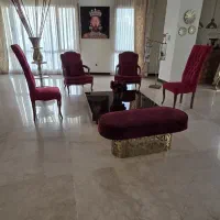 پبلمان فرانسوی کاملا نو مناسب جهاز عروس