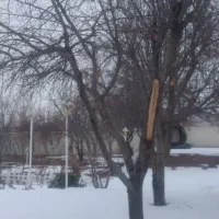 بآغ-ویلایی-در-باسمنج