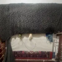 دار قالی، فرش نیمه کاره