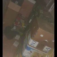 کارتن موزی محکم