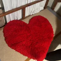 پادری قلب