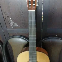 گیتار هوهنر آلمان|گیتار، بیس، امپلیفایر|آبادان, |دیوار