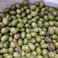 زیتون سبز و تازه