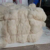 پشم گوسفند خالص و شسته شده و پشم شتر|رختخواب، بالش، پتو|کهریزک, |دیوار