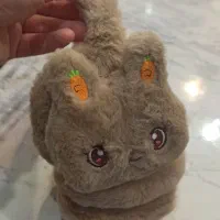 گوش گیر|لباس|تبریز, |دیوار