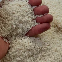 برنج ایرانی|خوردنی و آشامیدنی|تهران, کوثر|دیوار