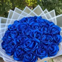 اکسسوری بدلیجات ریسه تاج عروس گیره گلسر گل|بدلیجات|یزد, |دیوار
