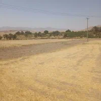فروش ۳۰۰۰ متر زمین جز حومه شهر