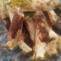 کنگرتازه وخوش مزه