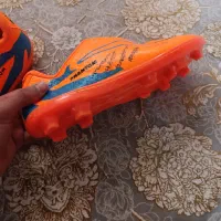 کفش استوک دار چمنی|کیف، کفش، کمربند|اهواز, شهرک الهیه|دیوار