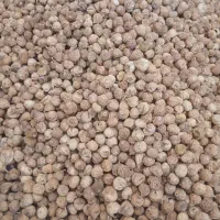 انجیر تازه برداشت امسال
