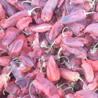 فلفل قرمز|خوردنی و آشامیدنی|سبزوار, امیریه|دیوار