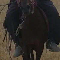 مادیون سن ۵سال ابستن