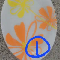 سرویس بشقاب آرکوپال