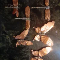 پروانه و سنجاقک مسی