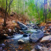 تور یکروزه بوژان نیشابور جمعه ۴ اردیبهشت ماه