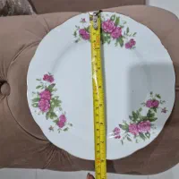 بشقاب قدیمی گل سرخی|کلکسیون اشیاء عتیقه|تهران, تهرانسر غربی|دیوار