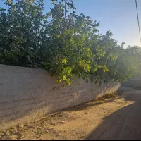 باغ ویلا ۸۰۸ متری در ورده ساوه|فروش خانه و ویلا|زرندیه, |دیوار