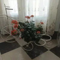 نگهدارنده گلدان