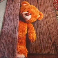 فرشینه فرش روفرشی نمدی