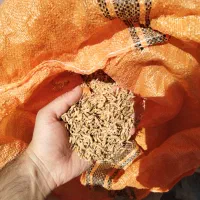 تخم جو آماده علی کاظمی