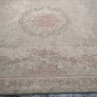 6 متری تک بافت پر تراکم