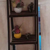 شلف سالم