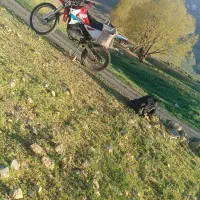 پیشرو200cc|موتورسیکلت|دهاقان, |دیوار