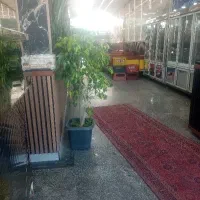 سالنکار در کبابی