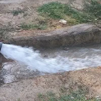 باغ میوه|فروش زمین و ملک کلنگی|بجنورد, |دیوار