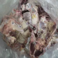 اسکلت مرغ
