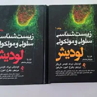 لودیش ۲۰۱۶ بدون خط خوردگی