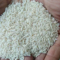 برنج هاشمی سورتینگ شده