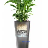 گلدان لچوزا مدل Delta 40 ارتفاع 75.5 سانتی متر|گل و گیاه طبیعی|لار, |دیوار