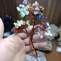 درختچه سنگ هفت چاکرا|بدلیجات|ارومیه, |دیوار