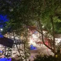 آشپز در رستوران لیدی برد