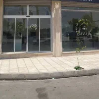 مشارکت