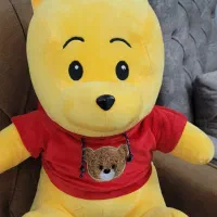 خرس در حد نو