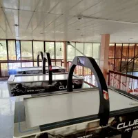 ایرهاکی حرفه ای