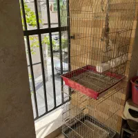 قفس کاسکو