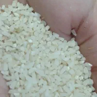 برنج هاشمی، نیمدانه تضمینی تا آخرین دانه