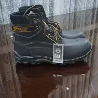 پوتین