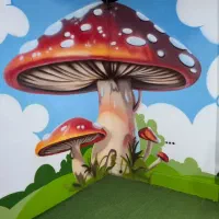 زیبا سازی محیطی از دیوار نگاری تا دیوار نویسی