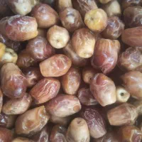 فروش خرمایی قصب ارگانیک