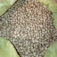 پسته کله قوچی دستچین شده درجه یک|خوردنی و آشامیدنی|تهران, سهروردی|دیوار