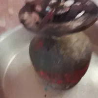 دو عدد پیک نیک سالم