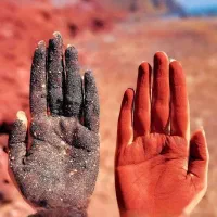 تورگروهی قشم-هرمز-هنگام