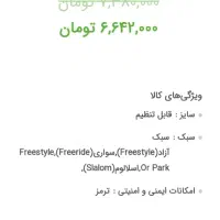 اسکیت حرفه ای